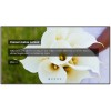 SJ Scroller для JoomShopping